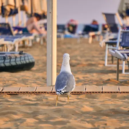 Relax And Enjoy Our Pool - Beahost Apartmán Porto Santa Margherita di Caorle